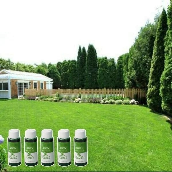 ð¥Last Day 49% OFFð¥GreenRevive HydroSeeding Lawn Solution