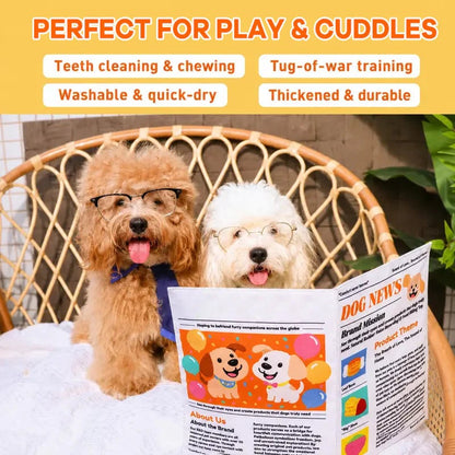 🐾Nteractive Crinkle Dog Toy