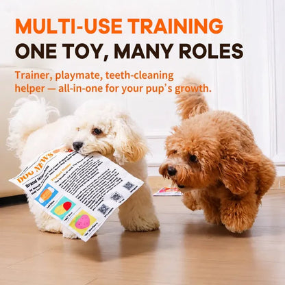 🐾Nteractive Crinkle Dog Toy