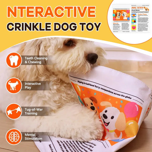 🐾Nteractive Crinkle Dog Toy