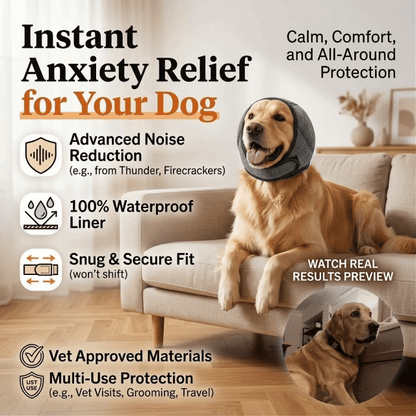🔥 [Flash Sale - 50% OFF] No More Shivering from Thunder & Dryers! ❤️ Dailyard Dog Calming Ear Wrap for Instant Anxiety Relief