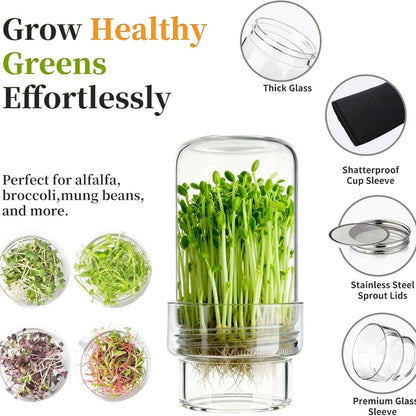 🎉🥦 Updated Sprouting Kit - Sprouting Jar Kits