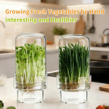 🎉🥦 Updated Sprouting Kit - Sprouting Jar Kits