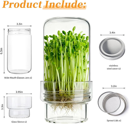 🎉🥦 Updated Sprouting Kit - Sprouting Jar Kits