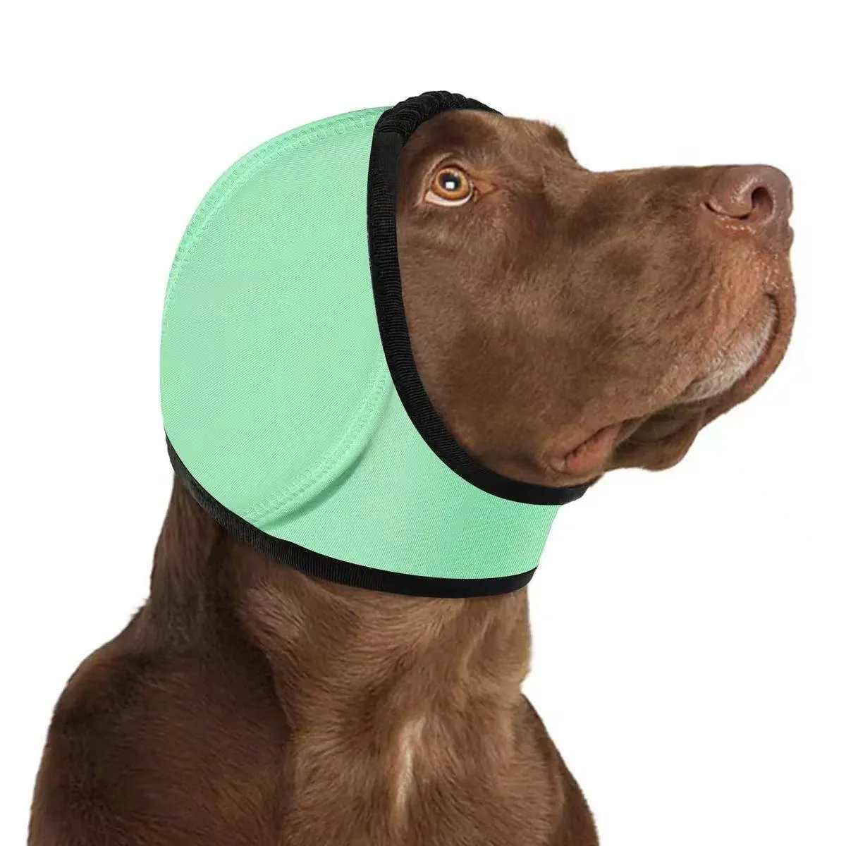 🔥 [Flash Sale - 50% OFF] No More Shivering from Thunder & Dryers! ❤️ Dailyard Dog Calming Ear Wrap for Instant Anxiety Relief