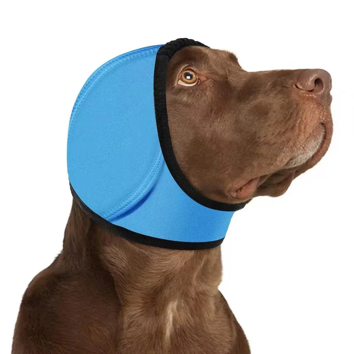 🔥 [Flash Sale - 50% OFF] No More Shivering from Thunder & Dryers! ❤️ Dailyard Dog Calming Ear Wrap for Instant Anxiety Relief
