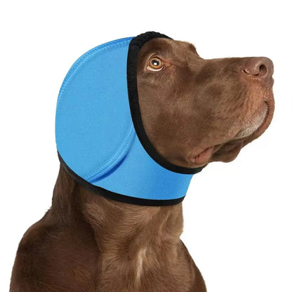 🔥 [Flash Sale - 50% OFF] No More Shivering from Thunder & Dryers! ❤️ Dailyard Dog Calming Ear Wrap for Instant Anxiety Relief