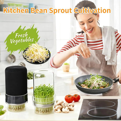 🎉🥦 Updated Sprouting Kit - Sprouting Jar Kits