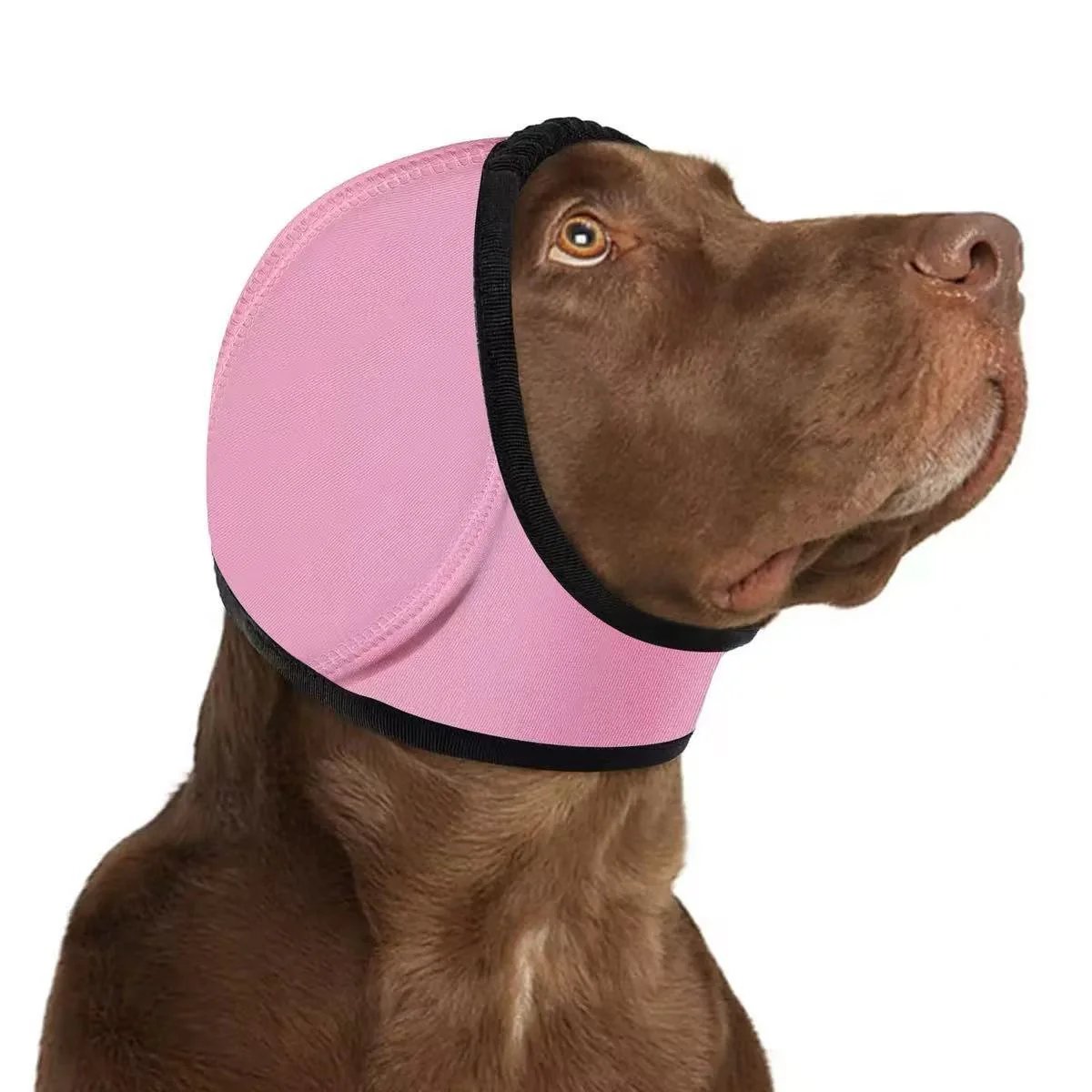 🔥 [Flash Sale - 50% OFF] No More Shivering from Thunder & Dryers! ❤️ Dailyard Dog Calming Ear Wrap for Instant Anxiety Relief