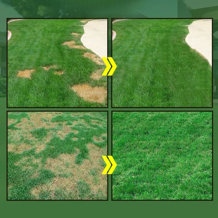 🔥Last Day 49% OFF🔥GreenRevive HydroSeeding Lawn Solution