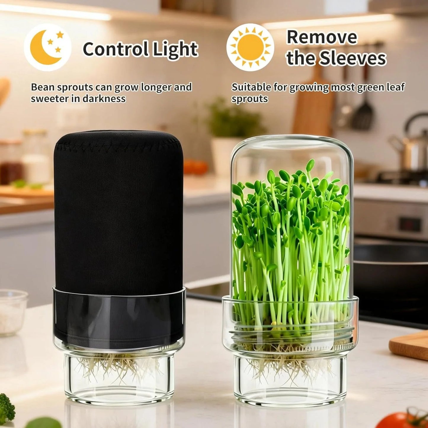 🎉🥦 Updated Sprouting Kit - Sprouting Jar Kits