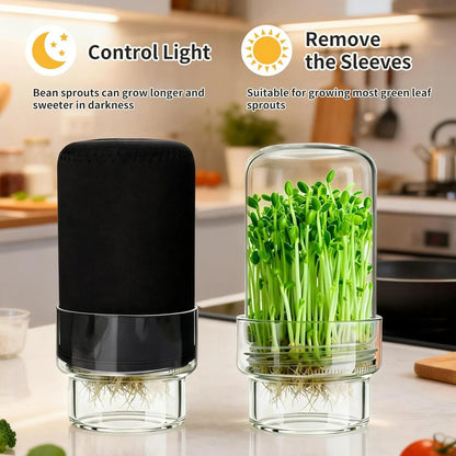 🎉🥦 Updated Sprouting Kit - Sprouting Jar Kits