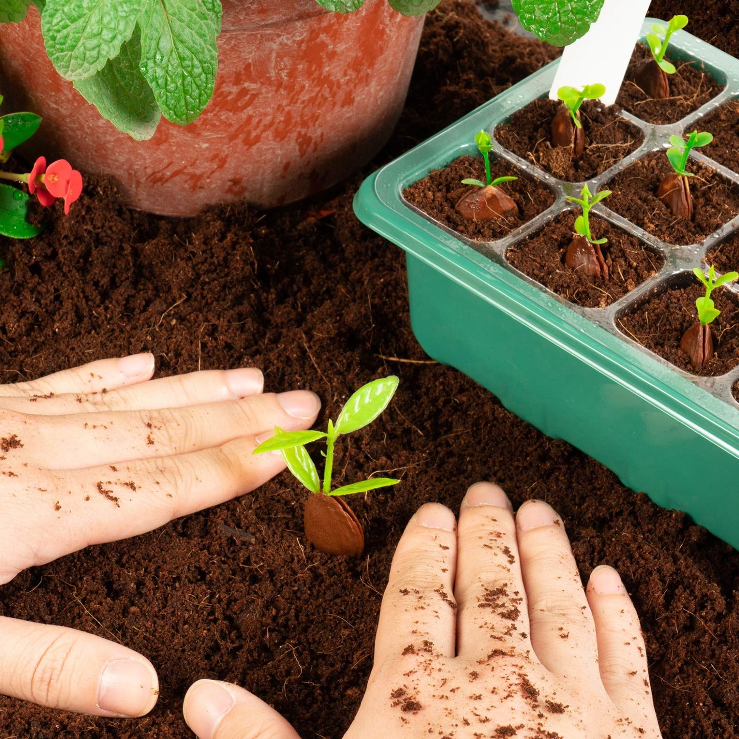 Adjustable Humidity Seed Starter Trays