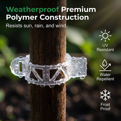 🧷 51% OFF NOW ! ⚡ 100 PCS Quick-Lock Plant Support Clips – Sturdy Support, Easy Install & Reusable Design 🌱