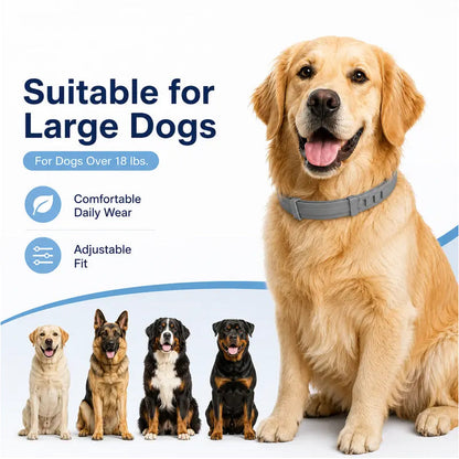 Adjustable Flea & Tick Collars for Dogs & Cats